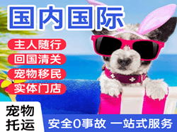 巴中恩阳空运公司国际宠物托运 【国